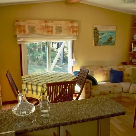 Cliffside Cabin بيت للعطل