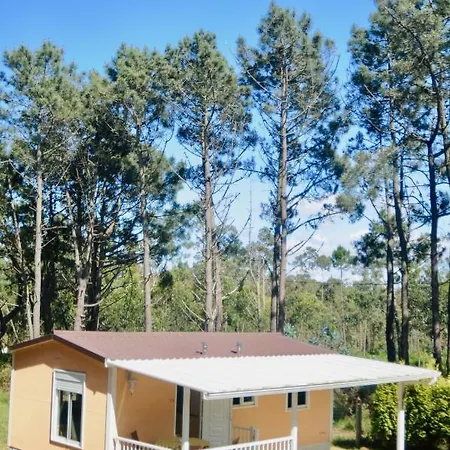 Cliffside Cabin بيت للعطل